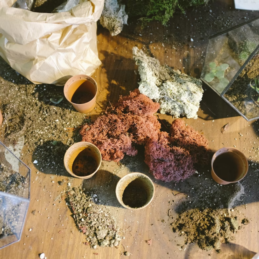 Compostable