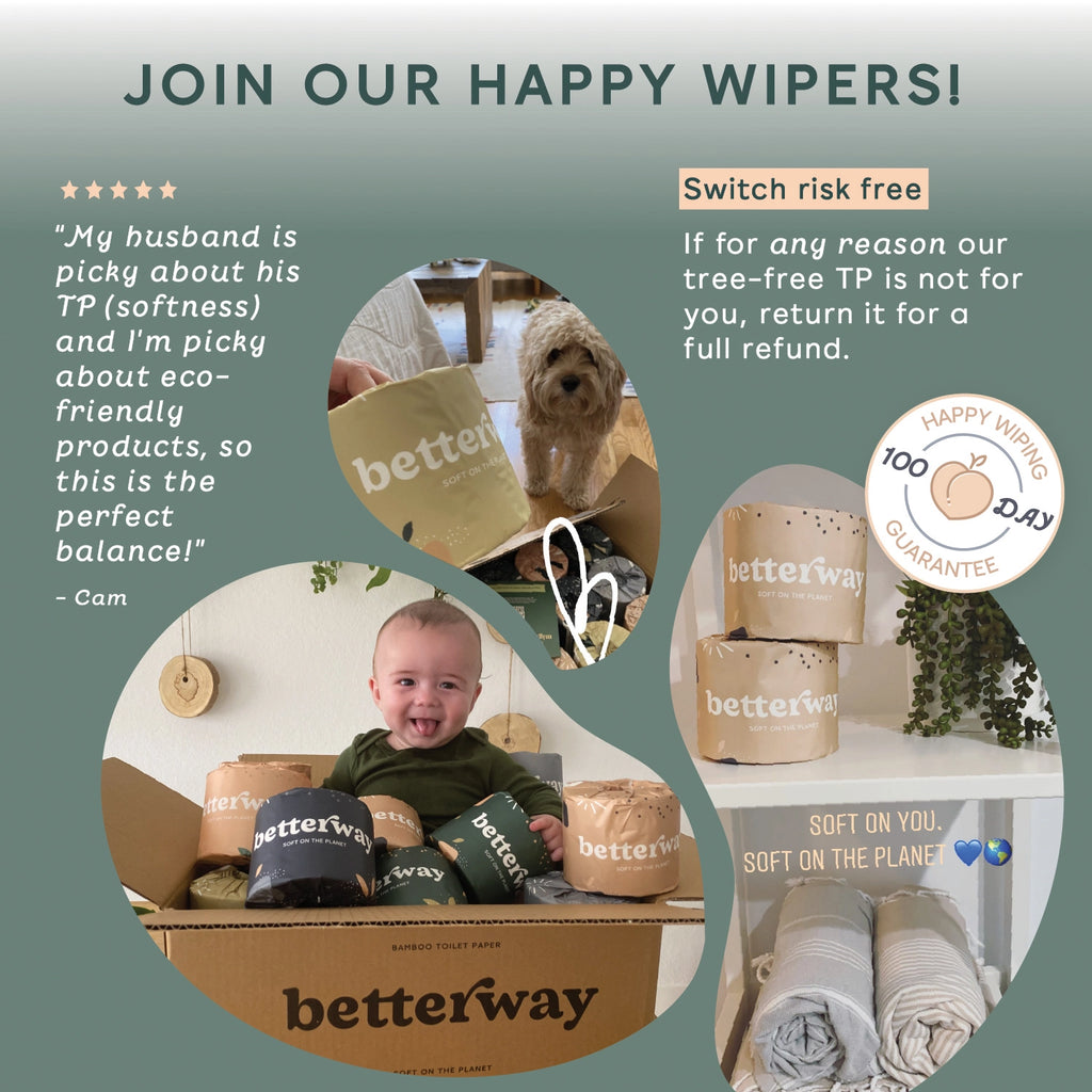 Bamboo Toilet Paper (12 Rolls)