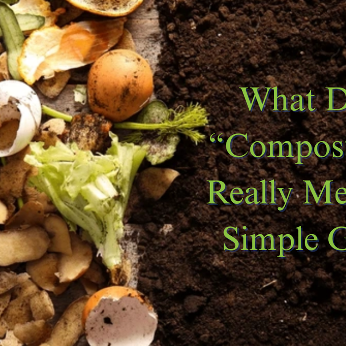 What Does “Compostable” Really Mean? A Simple Guide