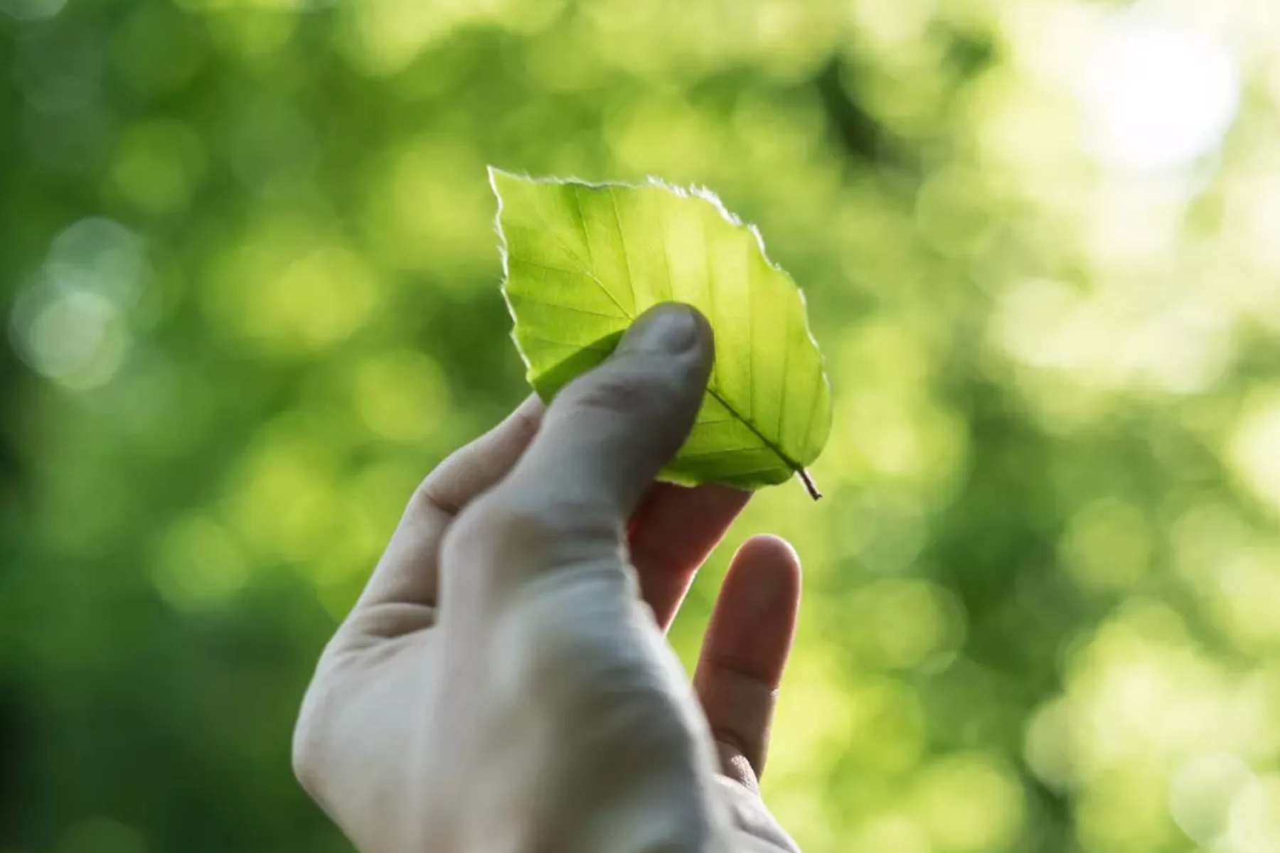 Profiles of Eco-Conscious Entrepreneurs Making a Difference