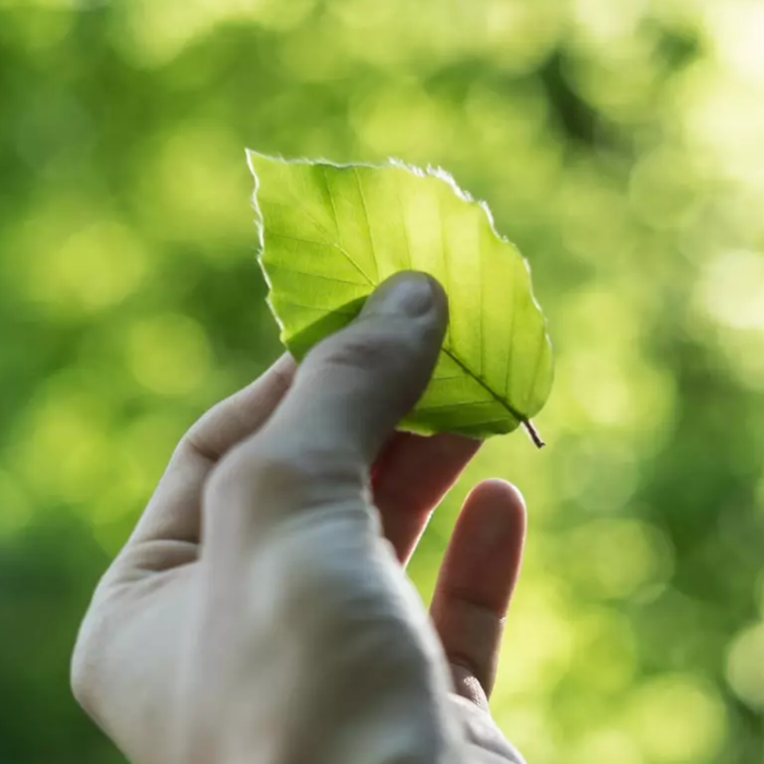 Profiles of Eco-Conscious Entrepreneurs Making a Difference