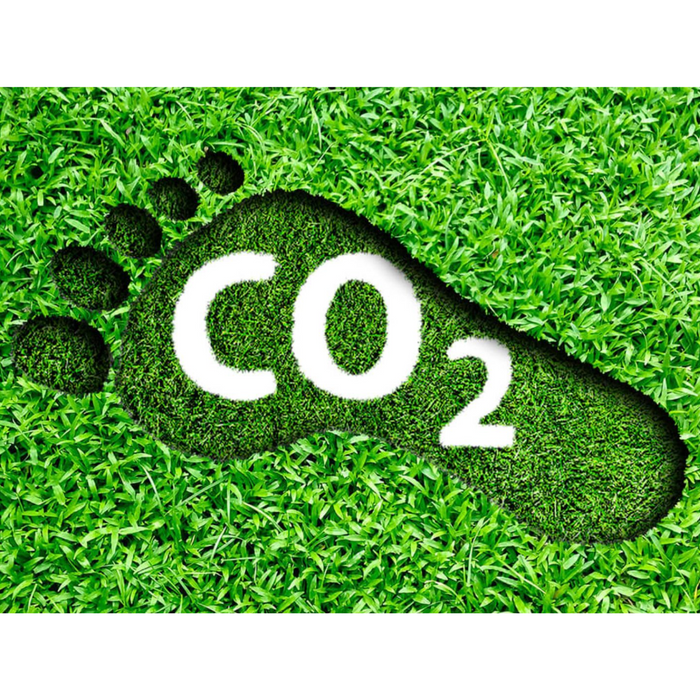 Understanding Carbon Footprints: How Your Purchases Make an Impact