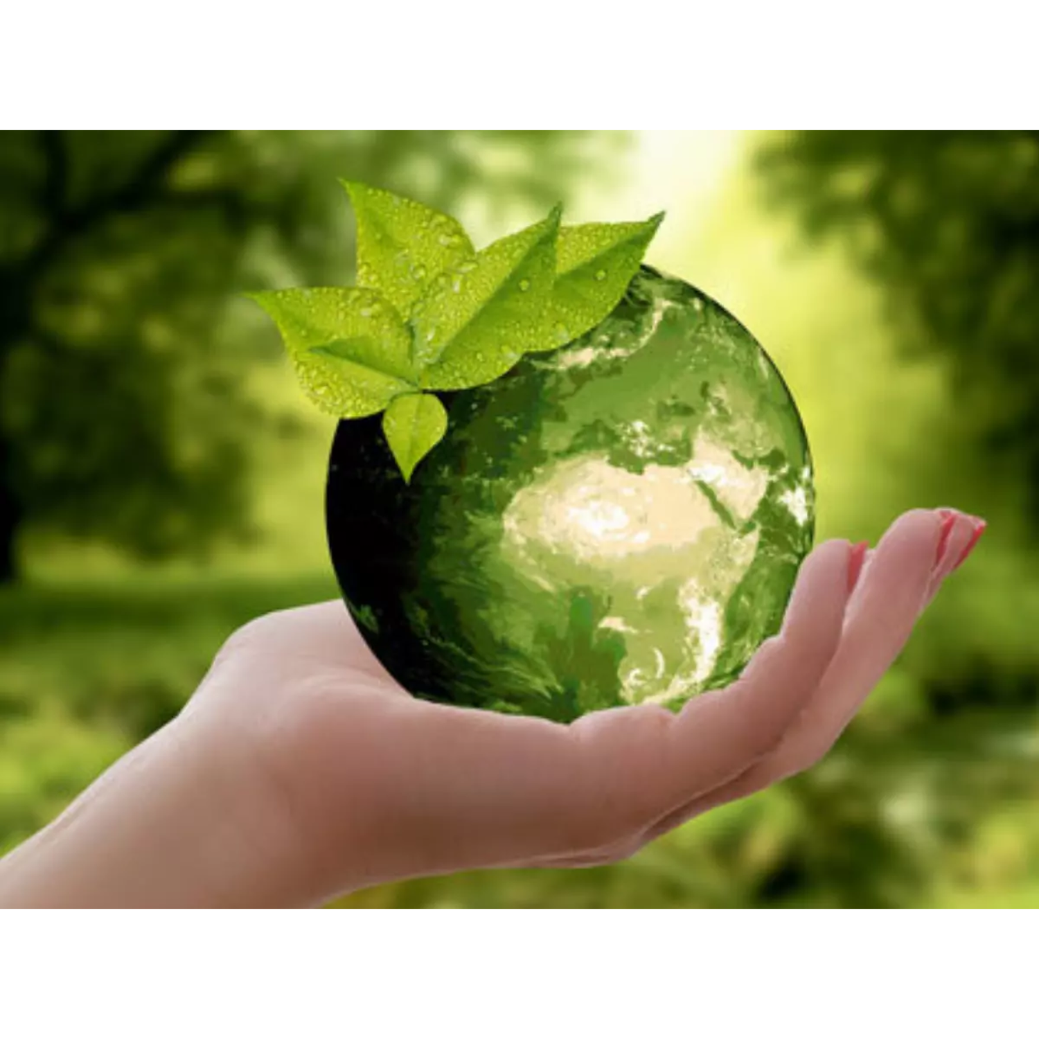 10 Everyday Items You Didn’t Know Could Be Replaced with Sustainable Alternatives