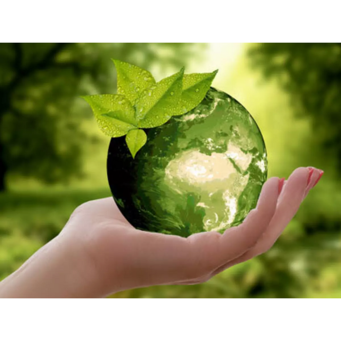 10 Everyday Items You Didn’t Know Could Be Replaced with Sustainable Alternatives