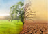 What Is Climate Change, Really? A Simple Guide for Anyone Who’s Confused