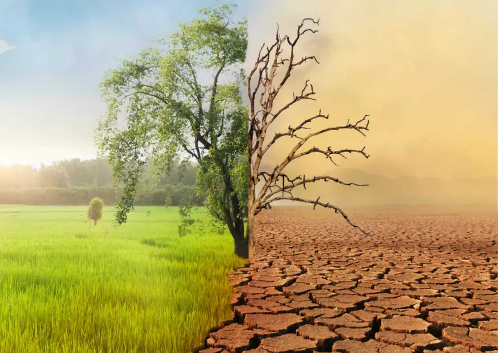 What Is Climate Change, Really? A Simple Guide for Anyone Who’s Confused