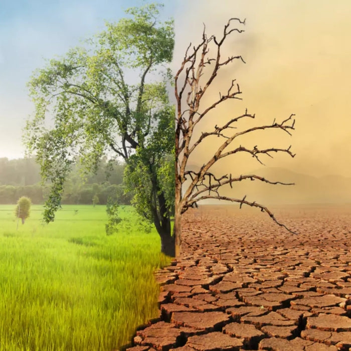 What Is Climate Change, Really? A Simple Guide for Anyone Who’s Confused