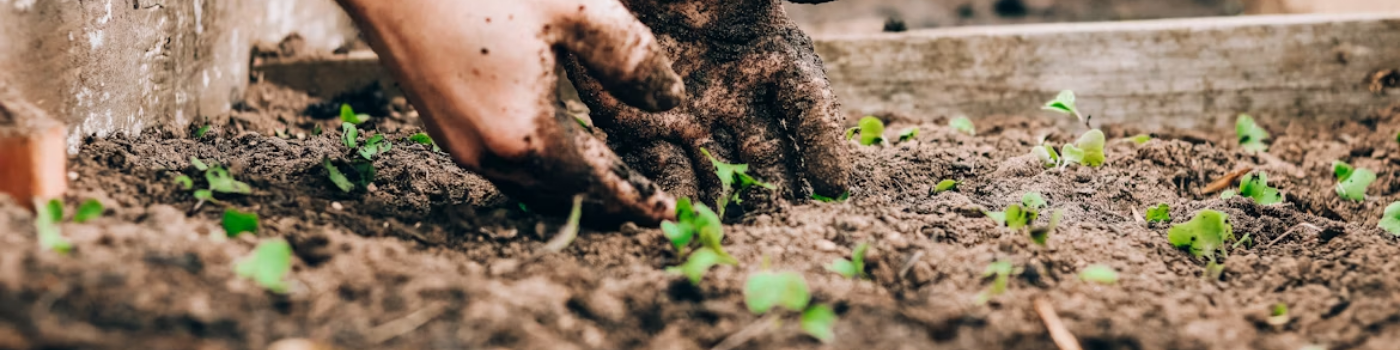 Composting