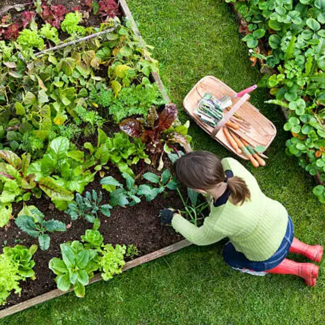 Garden & Outdoors