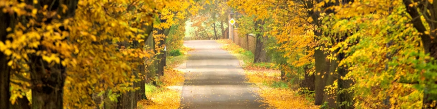 Fall