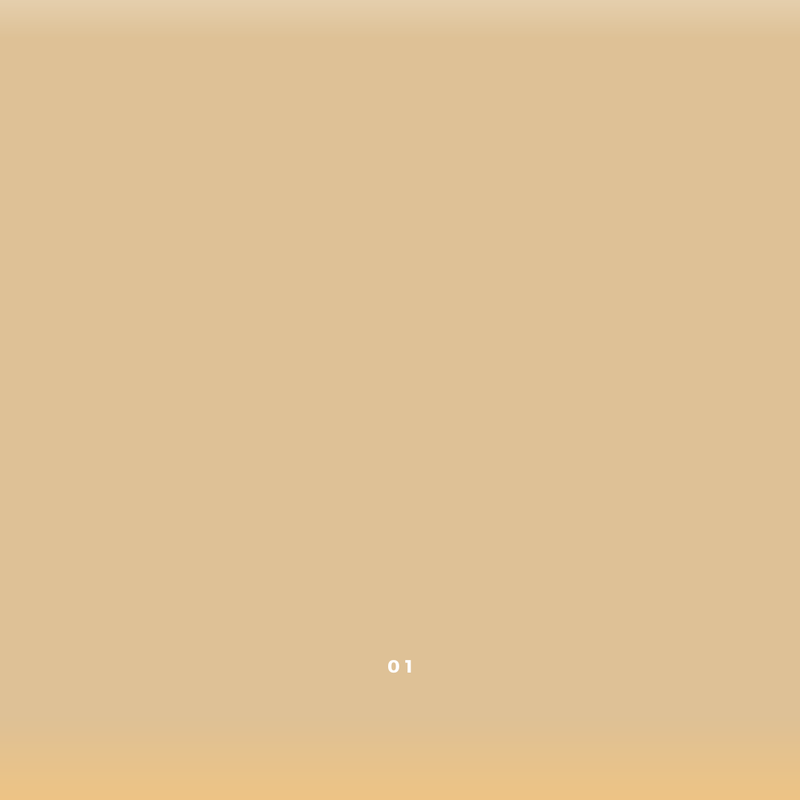 Zero-Waste Vegan Concealer – Plastic-Free, Hydrating & Buildable Coverage