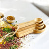 Bamboo Teaspoon Measuring Spoon Set – 4 Piece