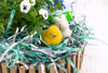 Eco Shred Basket Filler • Crinkle Paper Alternative • Plastic-Free Gift Basket Fill