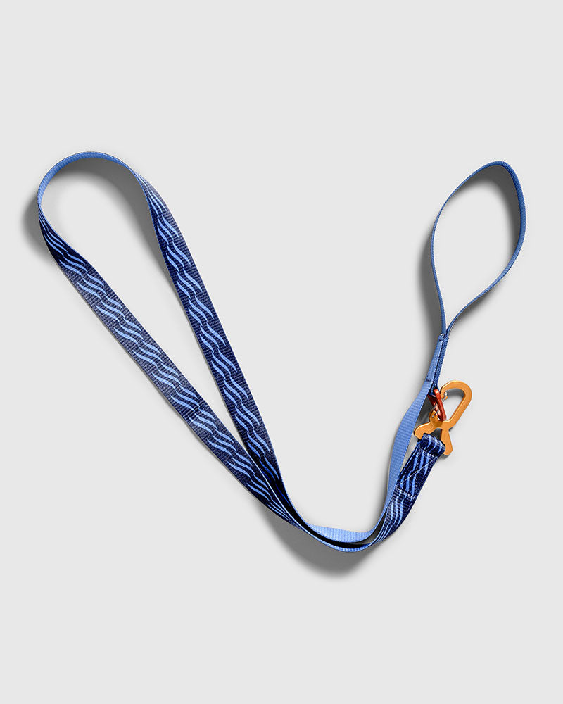 (R)evolution™ Recycled Dog Leash