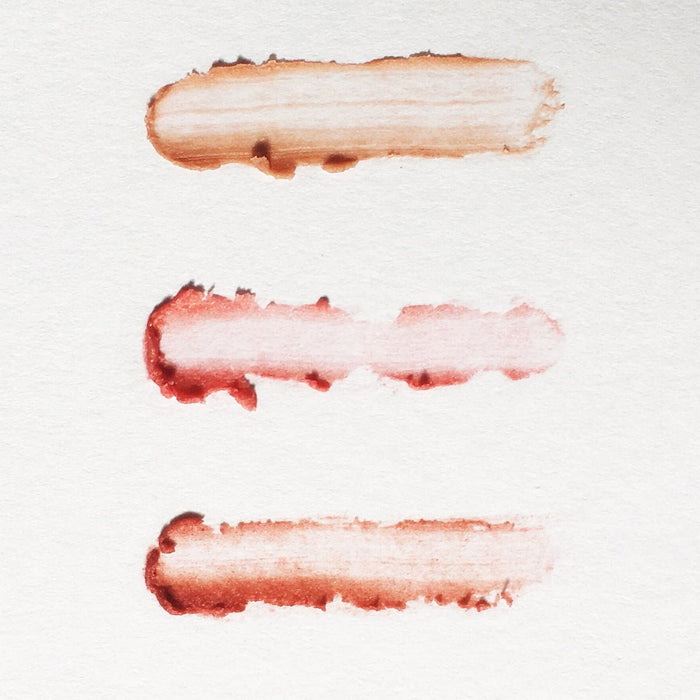 Set of 3 Tinted Vegan Lip Balms – Nourishing, Plastic-Free Lip Care Gift Box