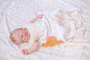 Organic Fabric Crinkle Toy: Stego the Stegosaurus