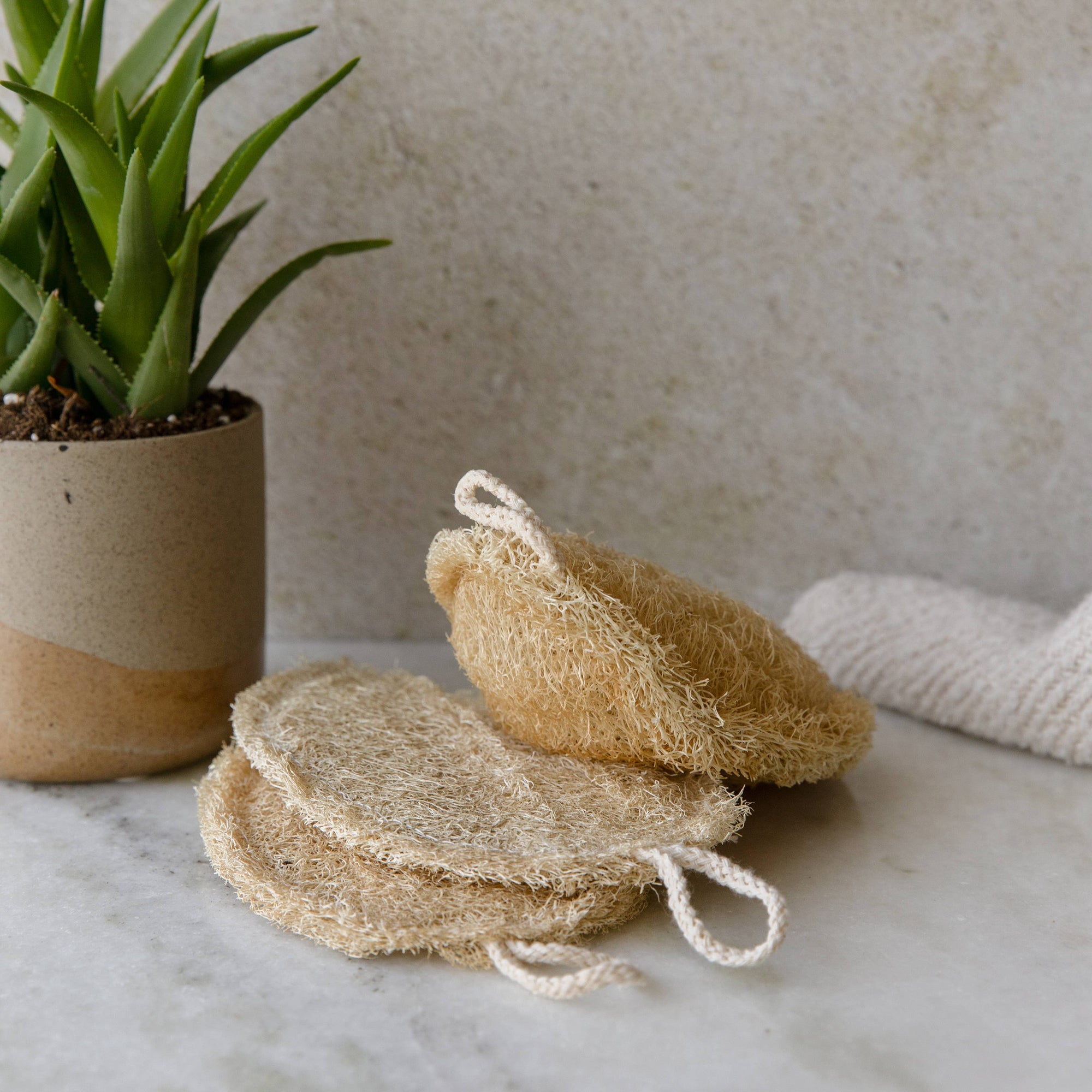 Earth Ahead - Double Layer Large Natural Loofah Sponge