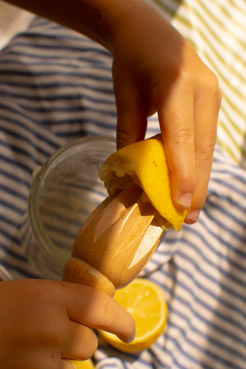 Beech Wood Citrus Juicer | Plastic-Free Manual Juicer | Compostable Kitchen Tool