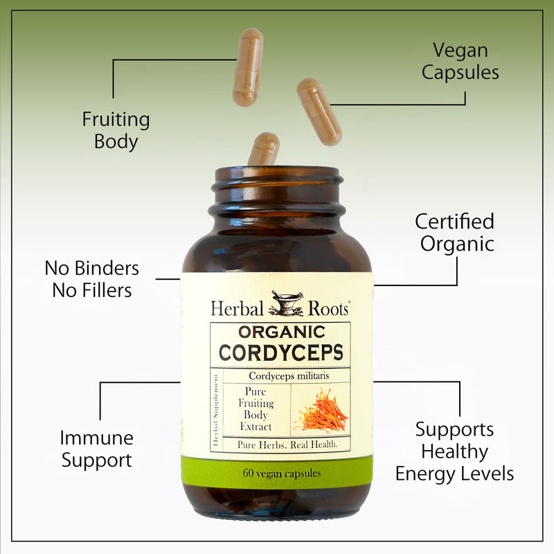 Bottle of Herbal Roots Organic Cordyceps with labeled benefits on a green background. Product benefits include fruiting body, vegan capsules, no binders, no fillers, certified organic, immune support, supports healthy energy levels.