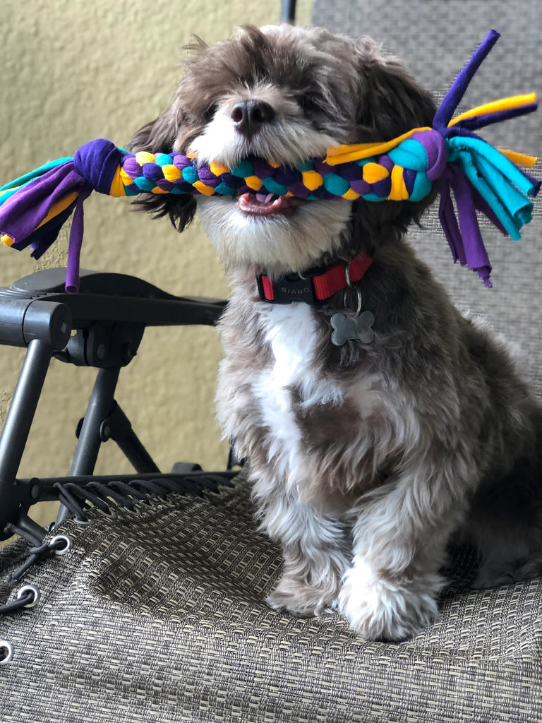 Tee-Bone Dog Toy