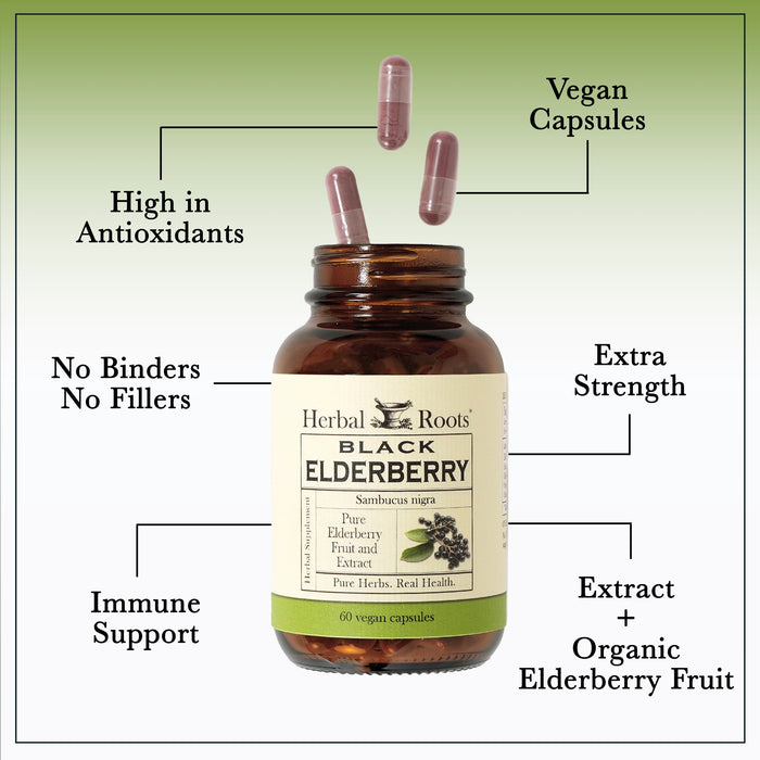 Bottle of Herbal Roots Black Elderberry with three pills spilling out of the top of the bottle. There are several lines pointing to the bottle and the capsules. The lines say High in Antioxidants, Vegan Capsules, Extra Strength, No Binders or fillers, Immune Support and Extract plus Organic elderberry fruit..