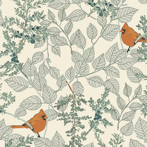 Reusable Paper Towels – Eco-Friendly Cloth Alternative