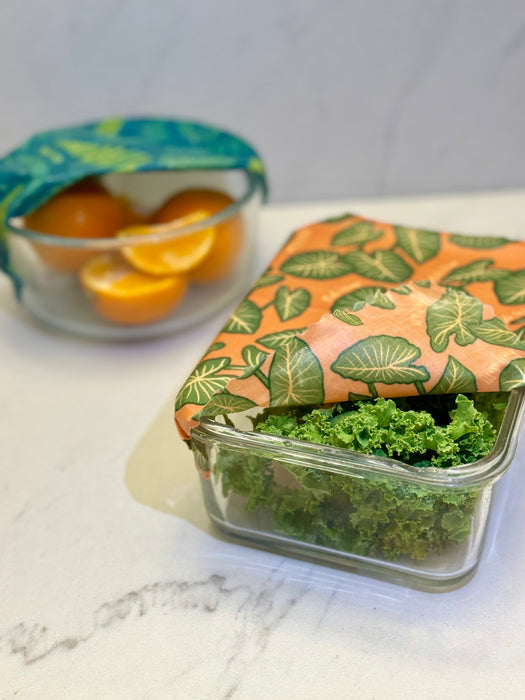 Beeswax Wrap Bulk Roll – Fern Print (13.5" × 42") | Reusable Organic Beeswax Food Wrap