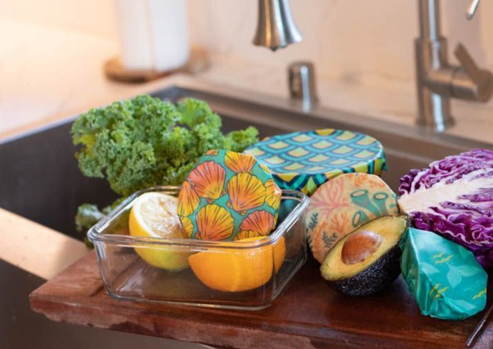 Beeswax Food Wrap – Sunrise Shell Print | Reusable Organic Cotton Wraps