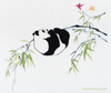 Mixed Pandas Set of 3 Swedish Dishcloths – Reusable, Compostable & Eco-Friendly Paper Towel Replacements