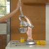 Artisan Citrus Juicer - Large