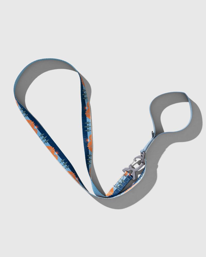 (R)evolution™ Recycled Dog Leash