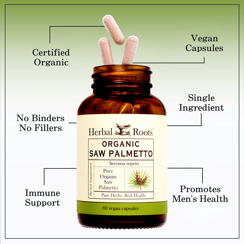 Organic Saw Palmetto