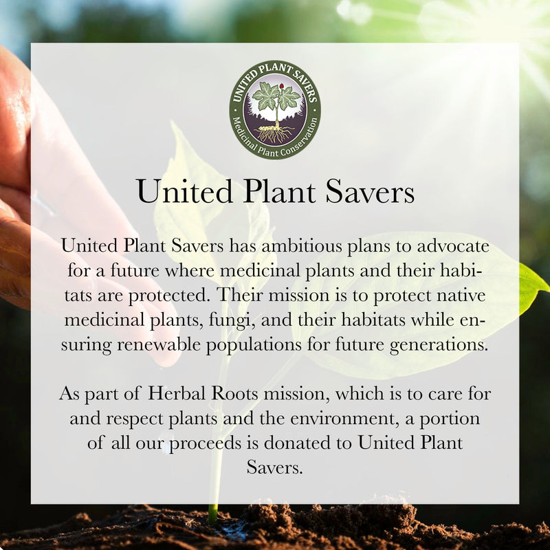 Women's Health Bundle