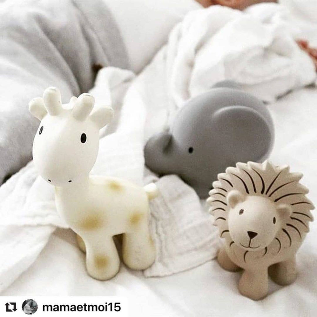 Elephant Organic Rubber Teether, Rattle & Bath Toy