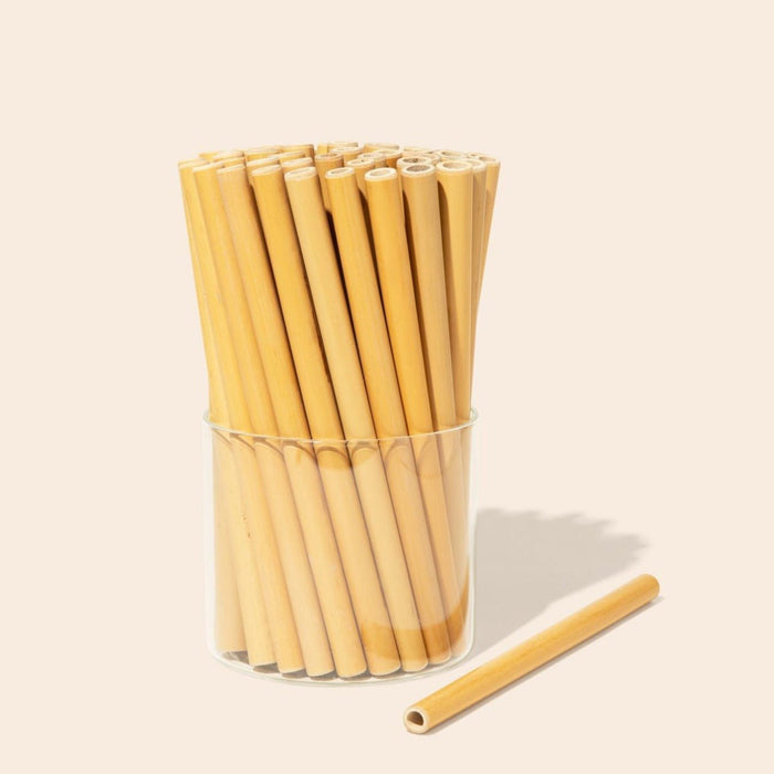 Organic Bamboo Straws (Set of 10) + Coconut Fiber Cleaner | Reusable Eco-Friendly Drinking Straws