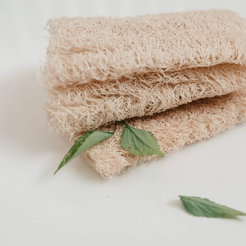 Loofah Sponge Pack – 100% Natural Plant Fiber | Plastic-Free, Compostable & Cleaning Sponge
