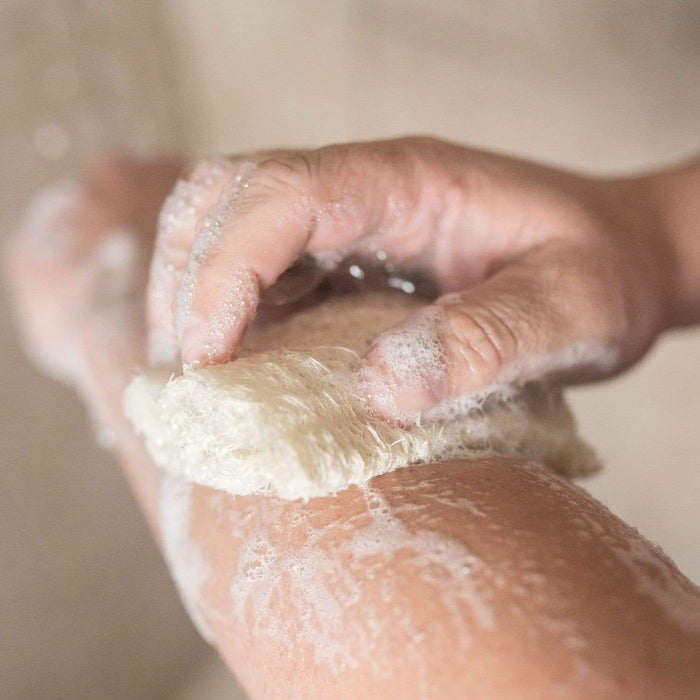 Loofah Sponge Pack – 100% Natural Plant Fiber | Plastic-Free, Compostable & Cleaning Sponge
