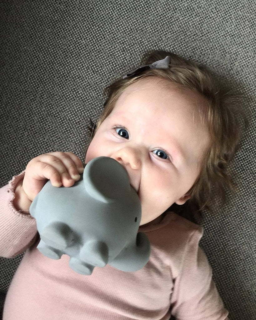 Elephant Organic Rubber Teether, Rattle & Bath Toy