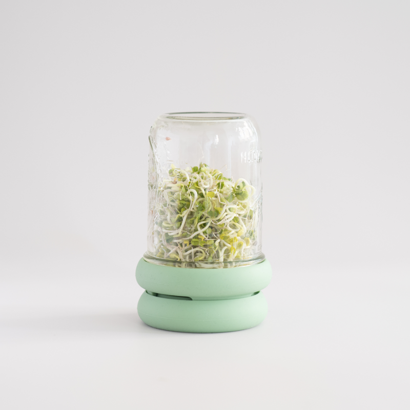 Reusable Silicone Sprouting Lids | Mason Jar Sprout Kit