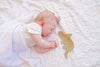 Triceratops Organic Crinkle Toy