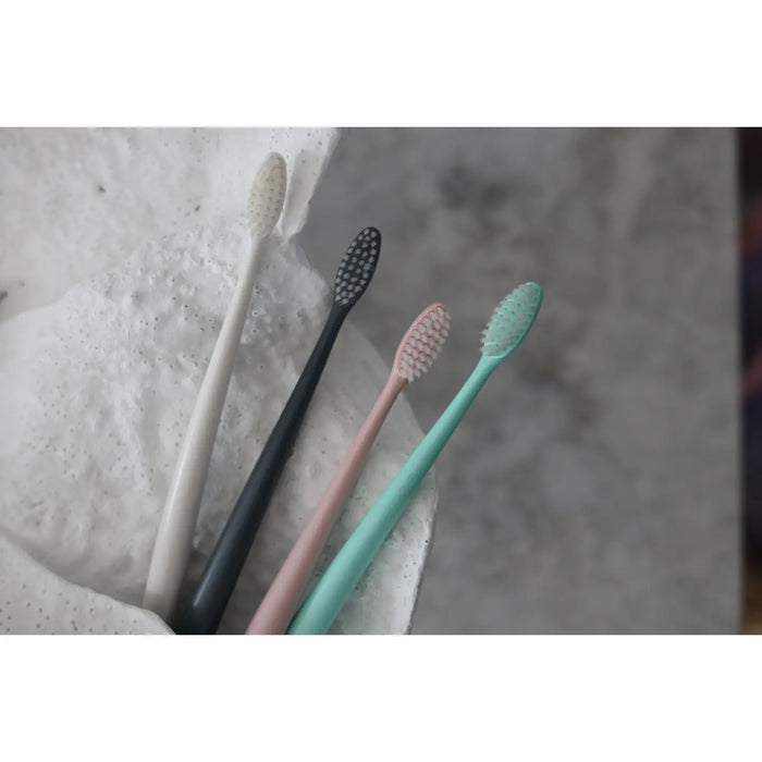 Toothbrush and Stand - Plastic Free and Biodegradable