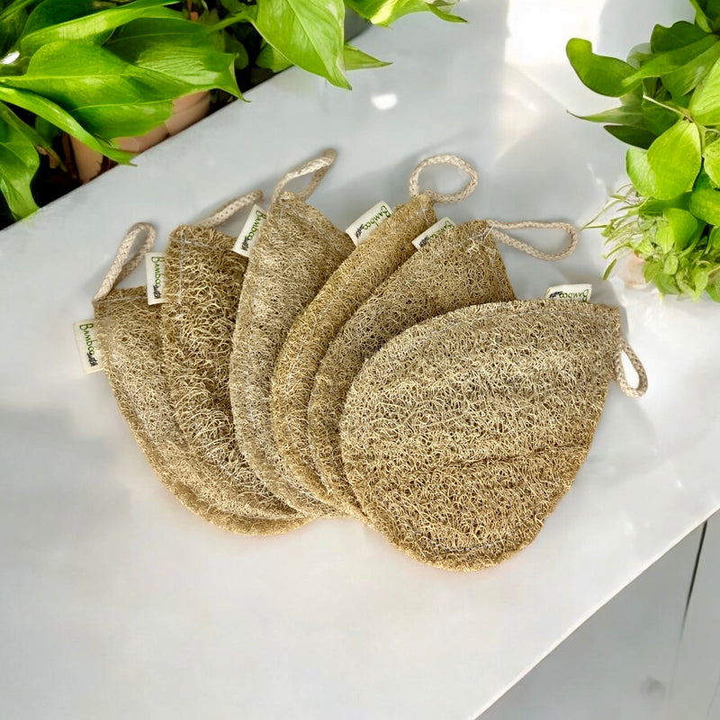 Exfoliating Loofah | Teardrop