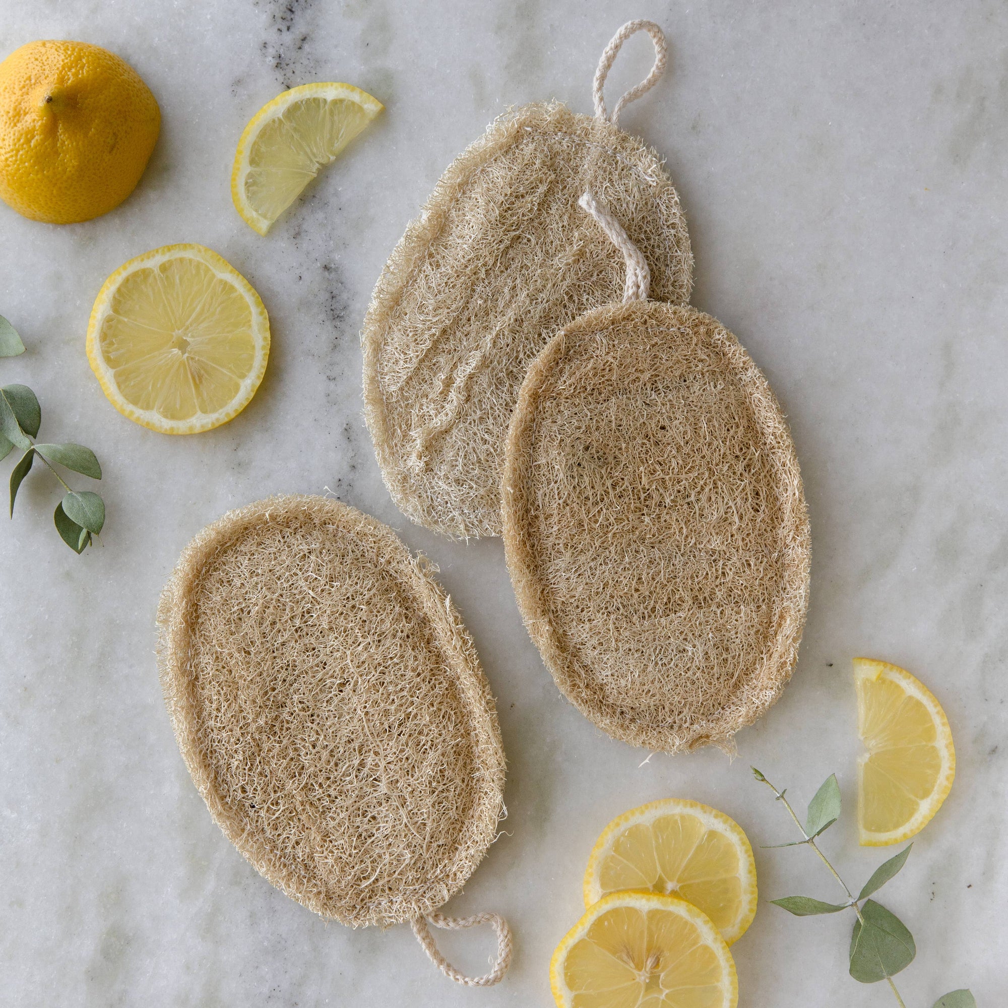 Earth Ahead - Double Layer Large Natural Loofah Sponge
