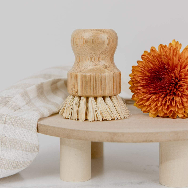 Dish Brush – Short Handle Bamboo Brush with Agave Bristles | Plastic-Free, Compostable & Cleaning Tool