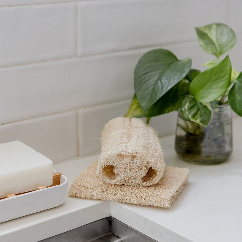 Loofah Sponge Pack – 100% Natural Plant Fiber | Plastic-Free, Compostable & Cleaning Sponge