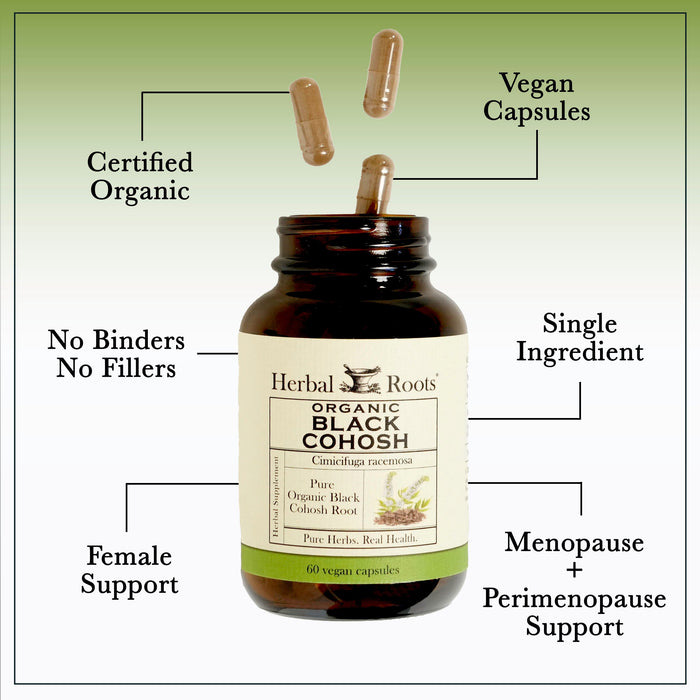 Bottle of Herbal Roots Organic black cohosh with three pills spilling out of the top of the bottle. There are several lines pointing to the bottle and the capsules. The lines say Certified Organic, Vegan Capsules, Single ingredient, No Binders or fillers, Female support, and menopause/perimenopause support