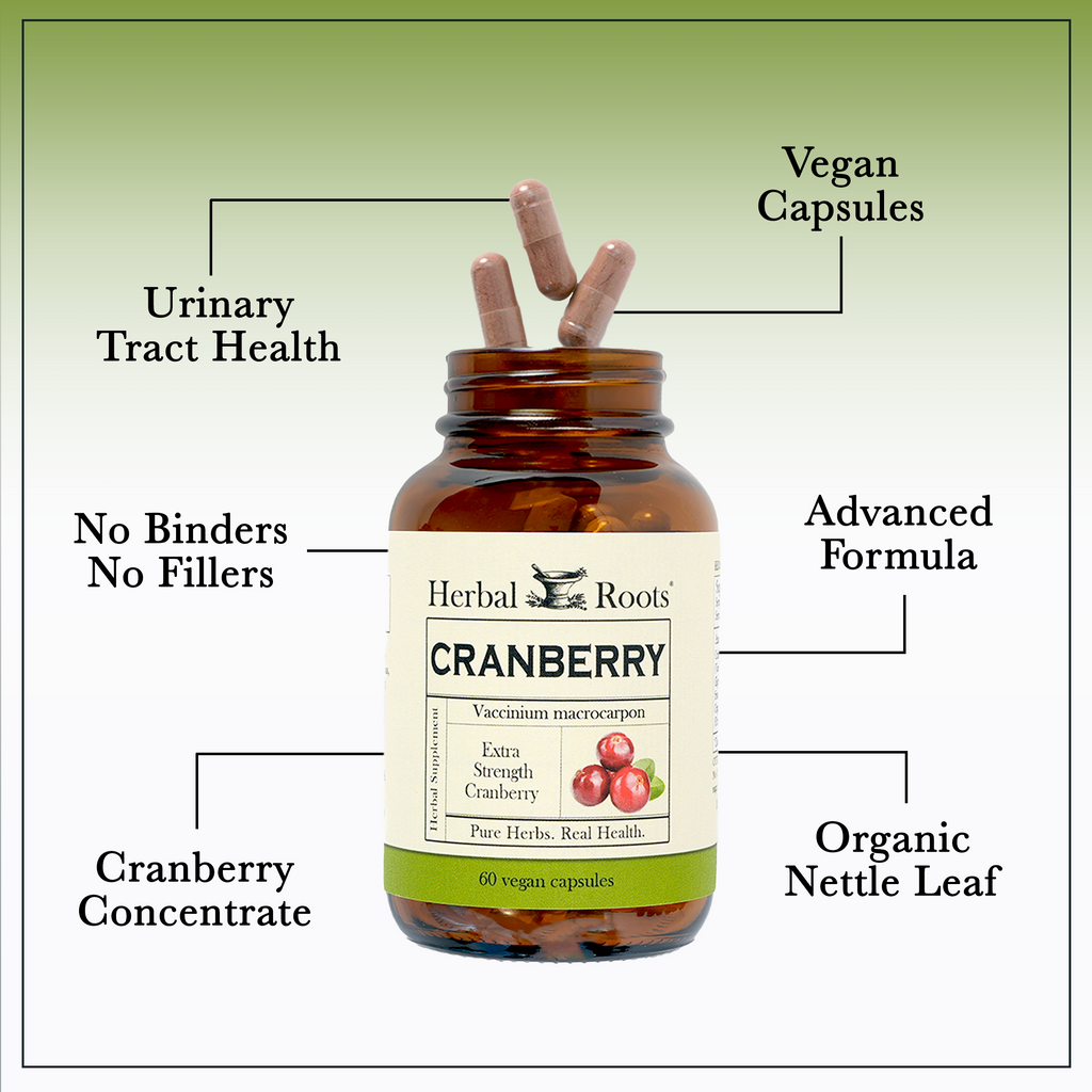 Bottle of Herbal Roots Cranberry supplement with three pills spilling out of the top of the bottle. There are several lines pointing to the bottle and the capsules. The lines say Urinary Tract Health, Vegan Capsules, Advanced Formula, No Binders or fillers, cranberry concentrate and organic nettle leaf.