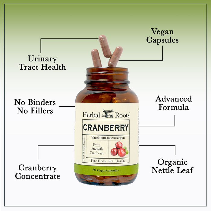 Bottle of Herbal Roots Cranberry supplement with three pills spilling out of the top of the bottle. There are several lines pointing to the bottle and the capsules. The lines say Urinary Tract Health, Vegan Capsules, Advanced Formula, No Binders or fillers, cranberry concentrate and organic nettle leaf.