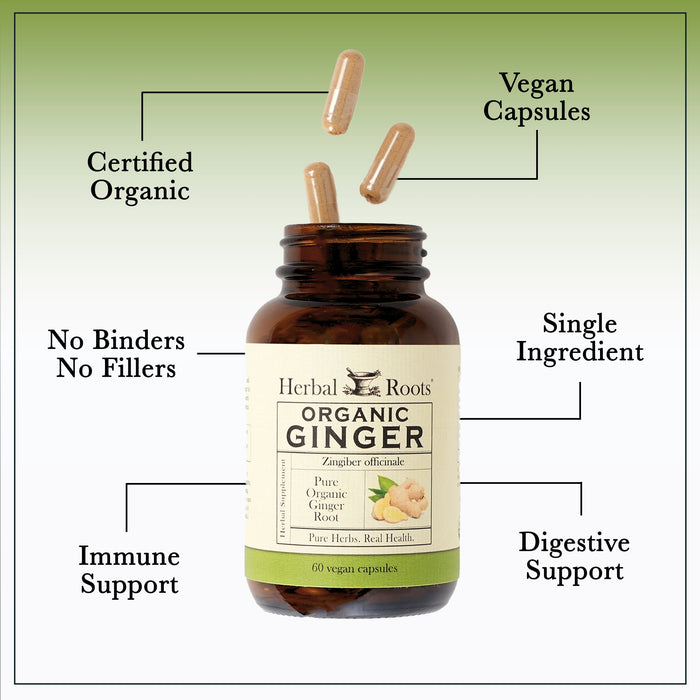 Bottle of Herbal Roots Organic Ginger with three pills spilling out of the top of the bottle. There are several lines pointing to the bottle and the capsules. The lines say Certified Organic, Vegan Capsules, Single ingredient, No Binders or fillers, Immune support and digestive support.