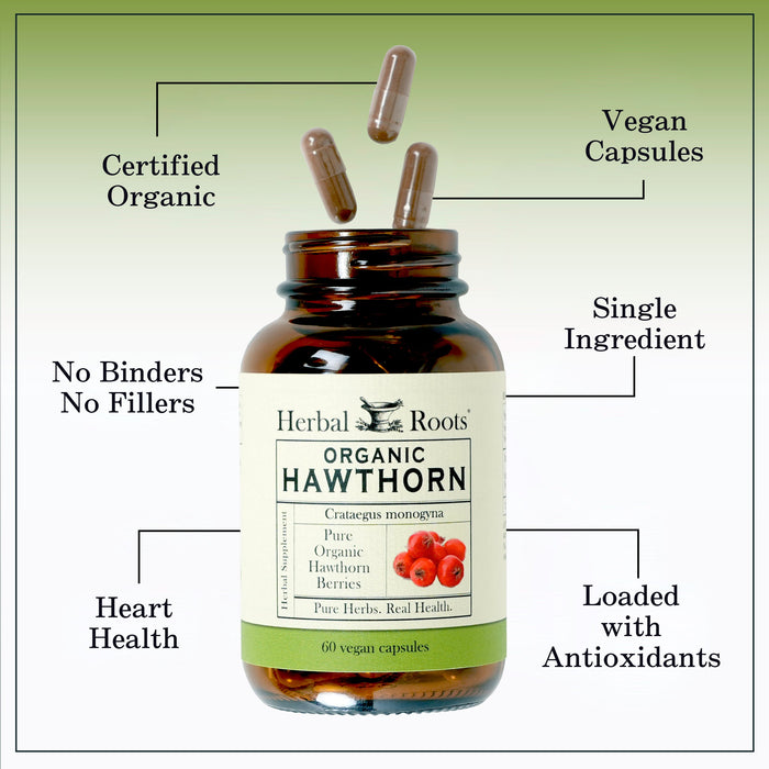 Bottle of Herbal Roots Organic hawthorn with three pills spilling out of the top of the bottle. There are several lines pointing to the bottle and the capsules. The lines say Certified Organic, Vegan Capsules, Single ingredient, No Binders or fillers, heart health and Loaded with antioxidants.